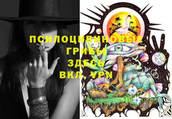 марки lsd Новозыбков