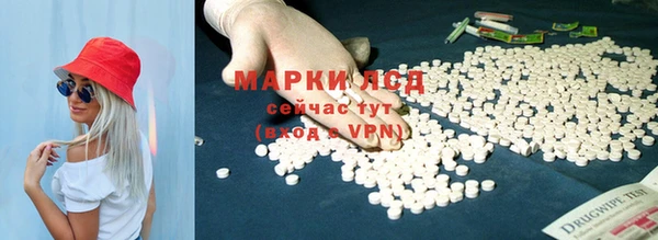 гидра Алзамай