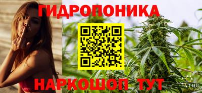 стаф Малгобек