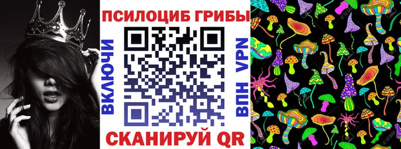 сколько стоит  Октябрьский  Псилоцибиновые грибы мицелий 