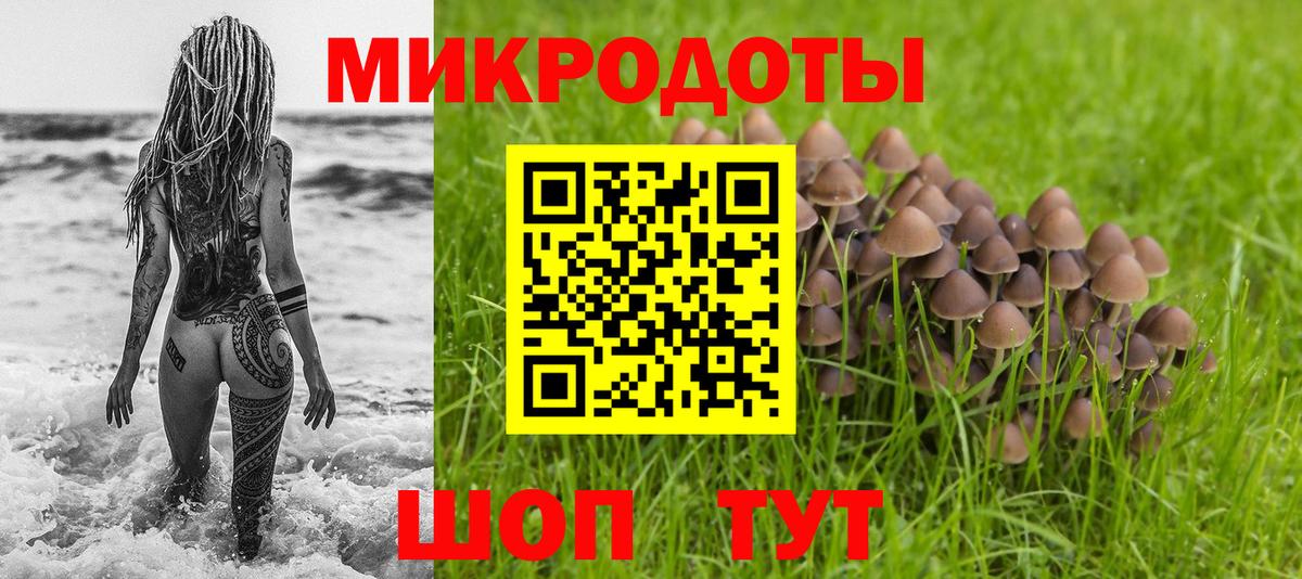Псилоцибиновые грибы прущие грибы Октябрьский